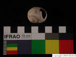 L_V21d3582 J1q2084.2 S806 dM f232